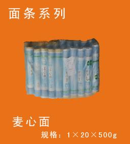 ˫棩1
