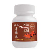 ʿţ֥