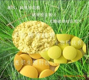 ƱɻƬ-˵ĸ2012䷽