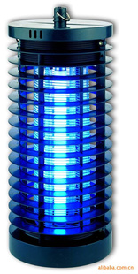 õ