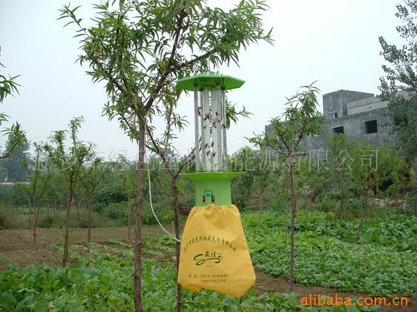 高效交流高压虫灯