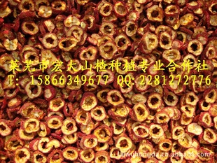2011Ʒ޺ɽ髸/ڼɽ髸