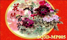 MP005ƬƬ3DƬӡˢ