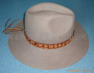 羊毛礼帽,毡帽,民族帽,牛仔帽。