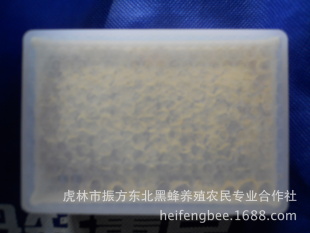 ڷ䳲