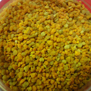 2013»仨500gƱһ