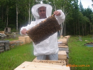 ڷл