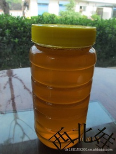 زзۺ600ؼ۴