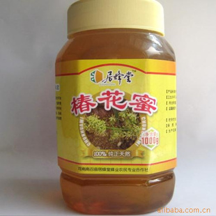 ޶лζŨũ