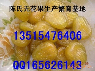 ޻޻޻۽