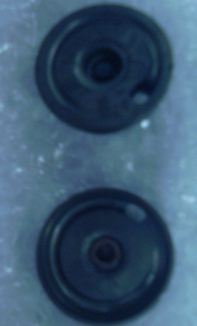 ws2
