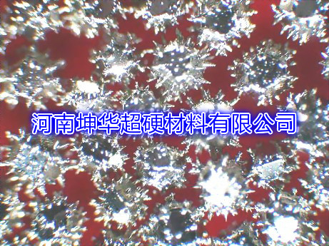 ֻӦʯ