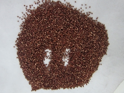 ̩ͭ˿1.0mm