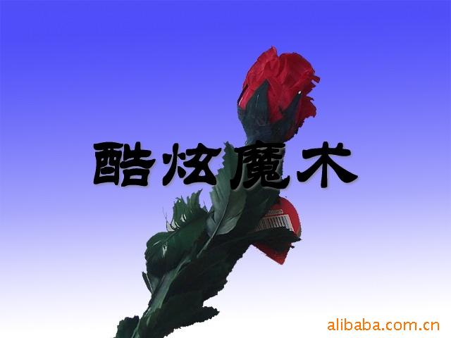 ħ/̨/Ʈõ/õ