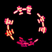 -Կ׿ۡ桢ƷƷ68