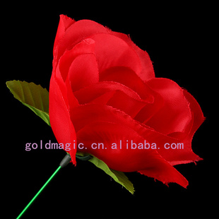 ѱõħ߻õ˽16g