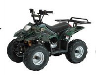 ɳ̲miniATV,110cc/125cc,С