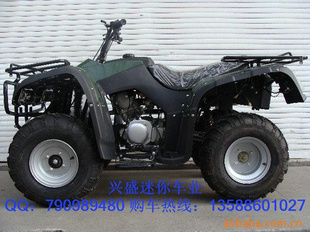 ATVɳ̲ͳǿ300cc