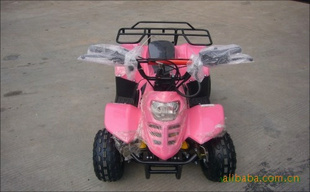 ATV&ɳֱ̲110ccͺó