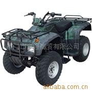 250CCɳ̲