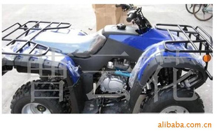 ¡250CCɳ̲