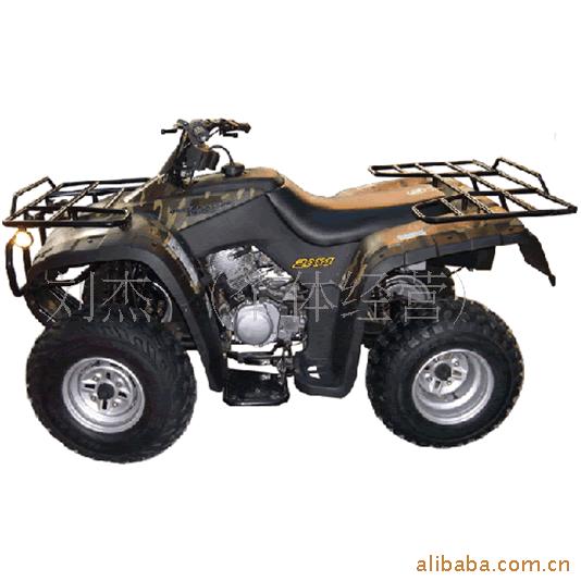 250CCɳ̲ATV250C2