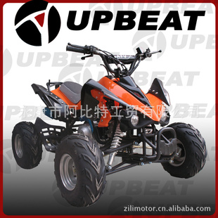 110cc/150cc/250ccATVɳ̲Ħг