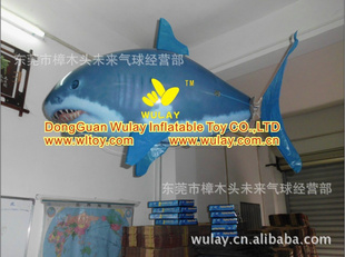 2012ģңߣңطairswimmers