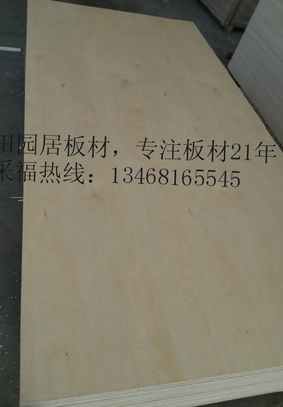 18ģƯ湤հ峧ľоϰ