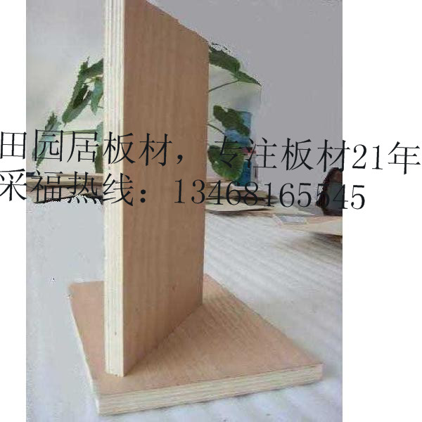 Ҿ߰峧ľоˮа峧