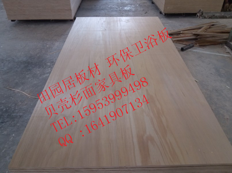 оҾ߰5mmҾ߰񱳰