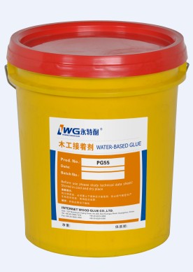 ˮPG55