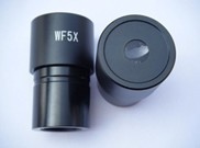 5WF5XĿ