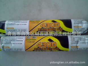 Ӣ4300ùṹ