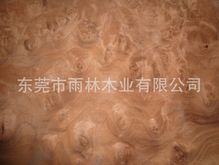 ԽϽں컨ľƤ