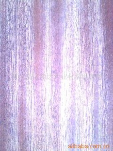ѡɳľƤƷʣֵù