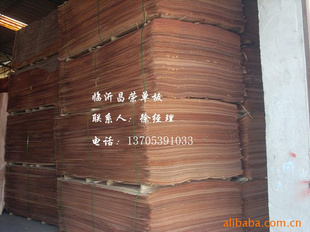 һо13705391033