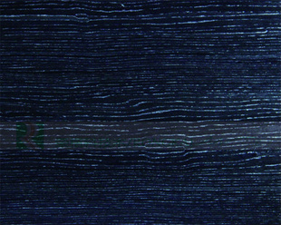 ҿƼľƤ/ٿƼľƤ/ٿٿƼľƤ