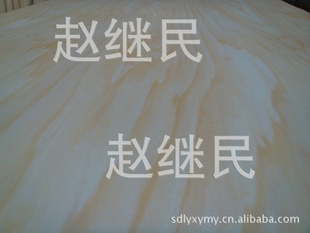 ľľƤ----ͻһʽ