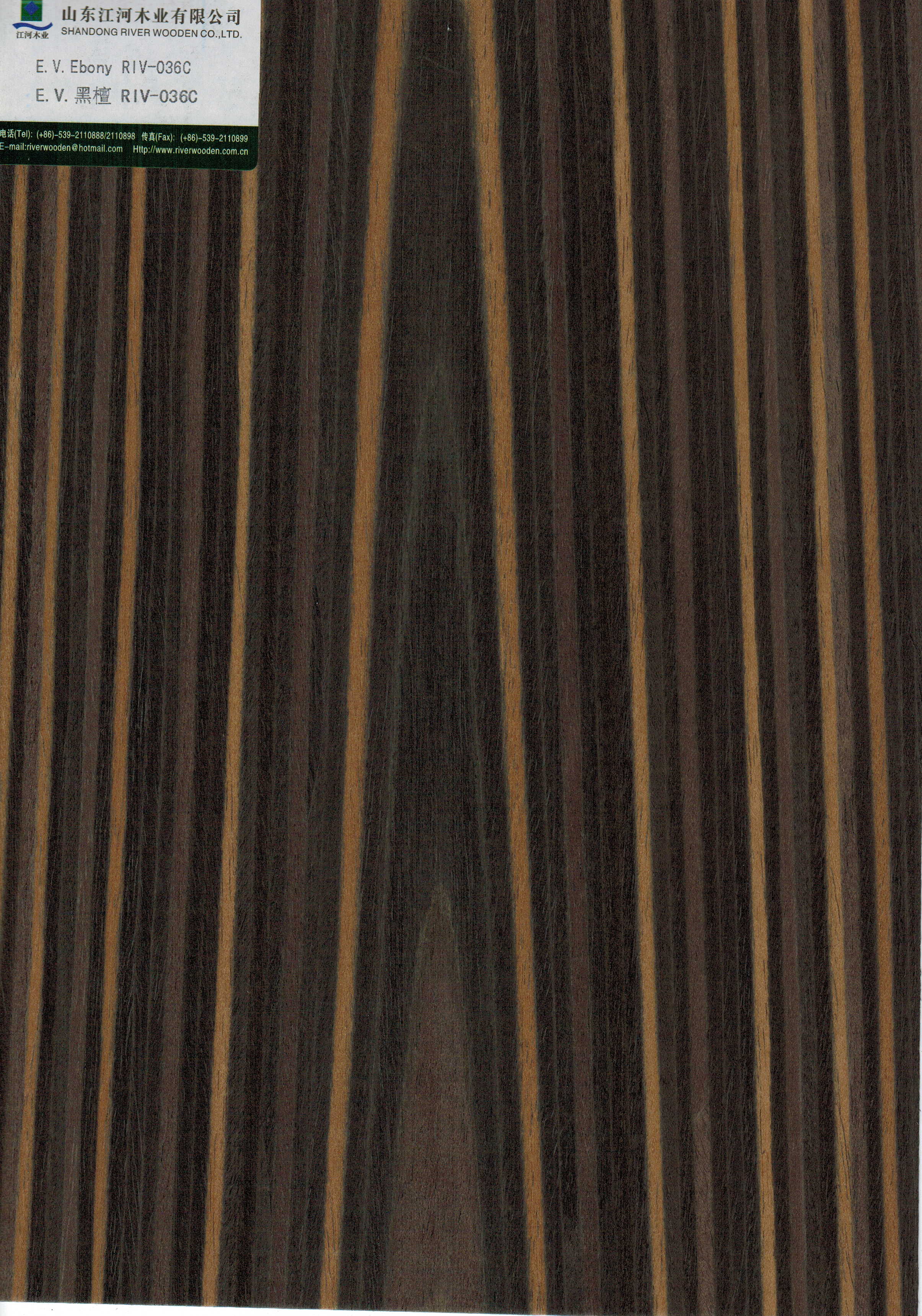 ̴ƼľƤ