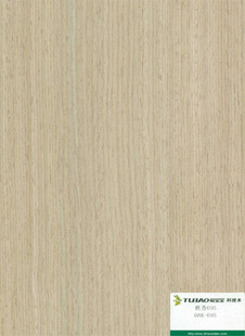 ñƼľƤ-09S