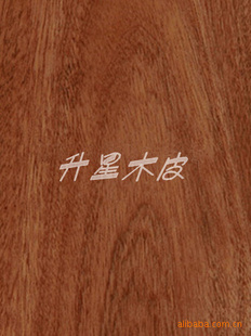 滨ľƤҾľƤ
