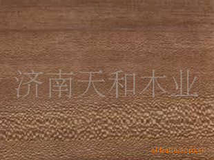 ƼľƤ-˿ϵ