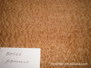 ɳľƤveneer