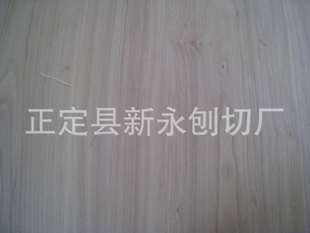 ƷľذľƤ2.0mm