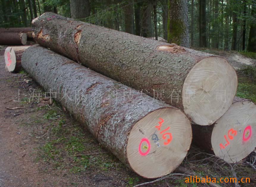 ľ