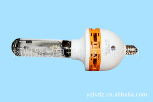 ·׵ӵѹһ廯ƵDC24V35W55W70WƵ
