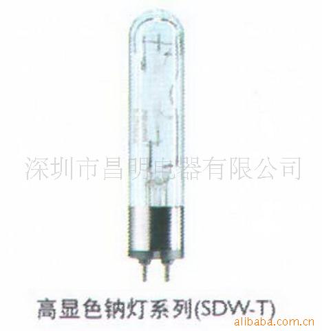 SDW-T԰Ƶ