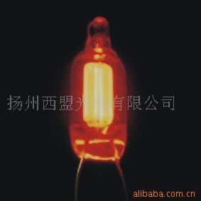 ʵֻ