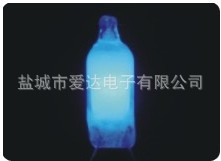 γ“”ʵʵ